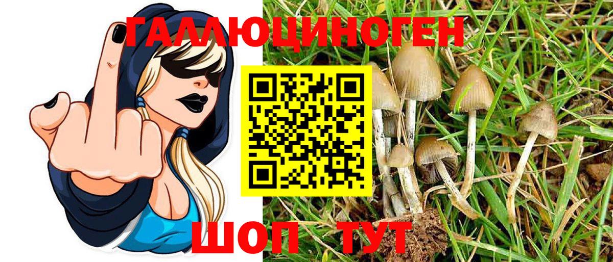 Псилоцибиновые грибы Psilocybine cubensis  Вход с VPN  Бийск 