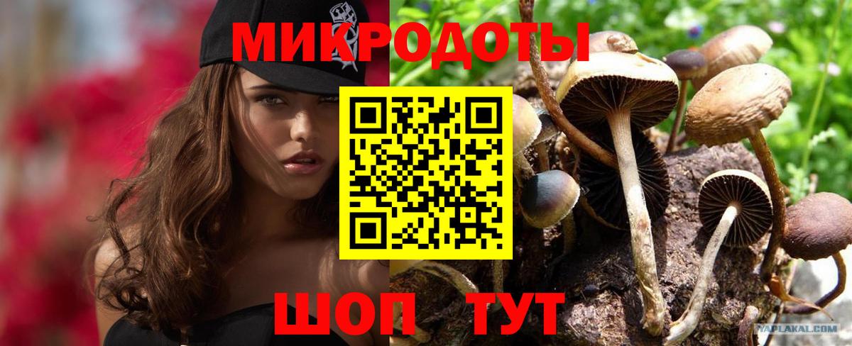 Псилоцибиновые грибы мухоморы Бийск